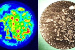 C-Scan-Brazed-Bond-Testing